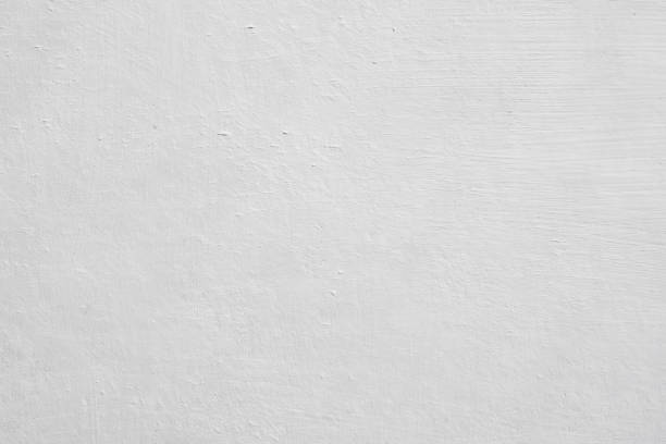Mold Odor Removal Services in Dudley, NC